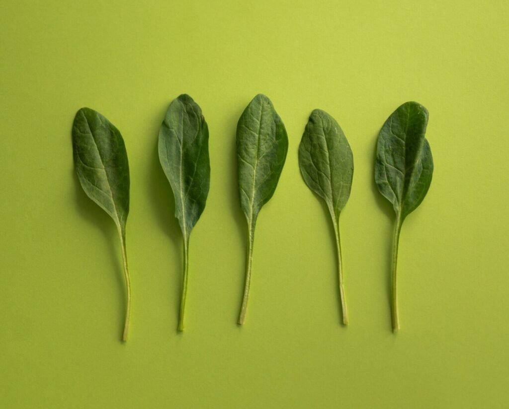 Plant-Based Diet Benefits: Transform Your Health