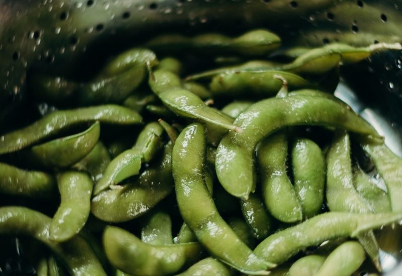 Bean for Protein Sources