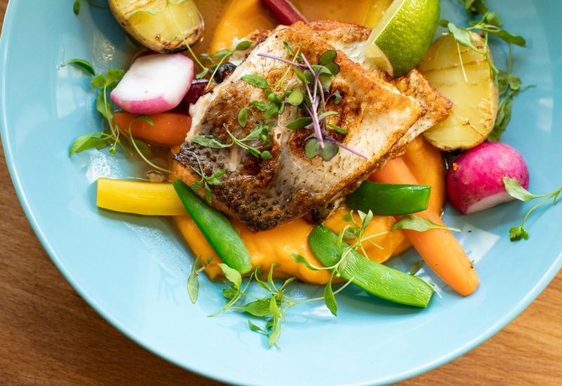 protein to lose weight